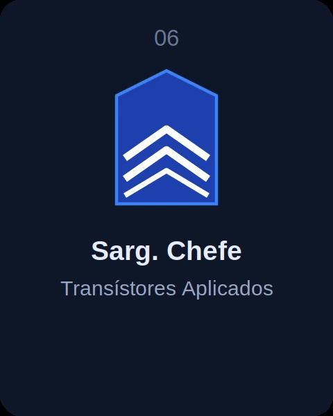 Sarg. Chefe